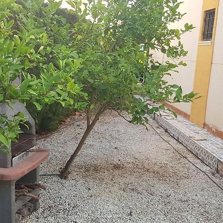 Punta Prima Bungalow Jardin Privado 또레비에하 외부 사진