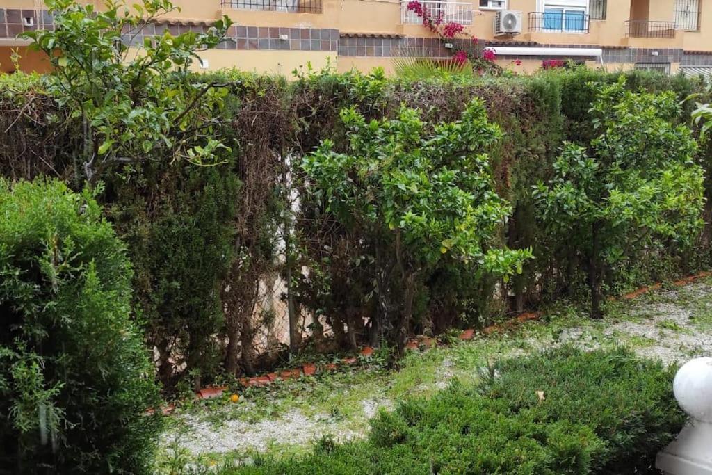 Punta Prima Bungalow Jardin Privado 또레비에하 외부 사진