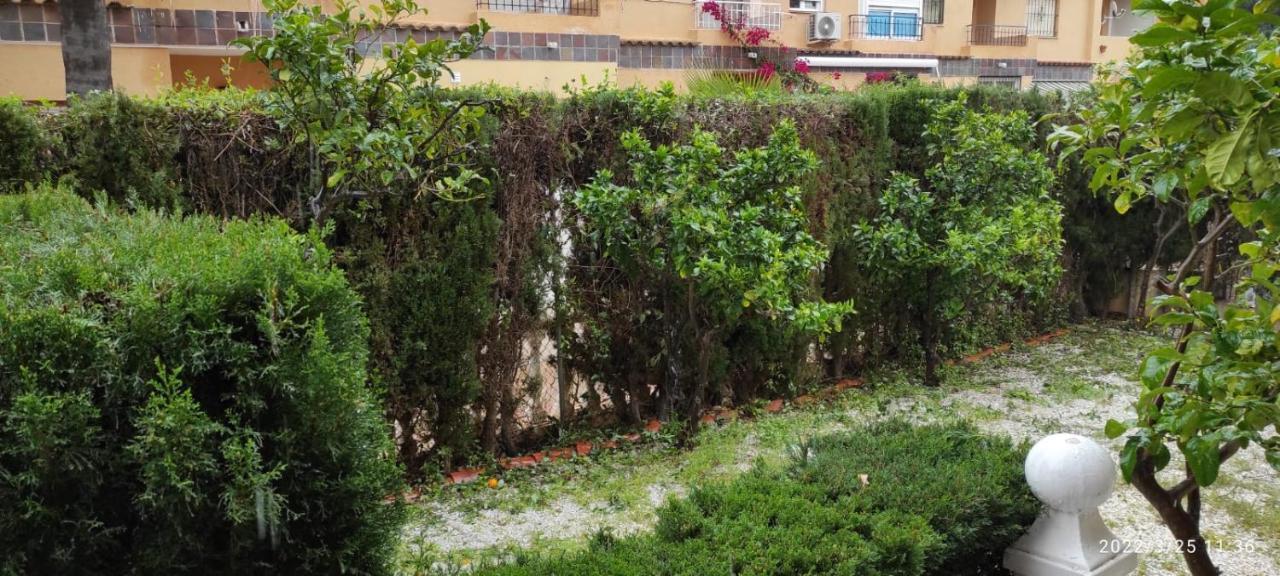 Punta Prima Bungalow Jardin Privado 또레비에하 외부 사진