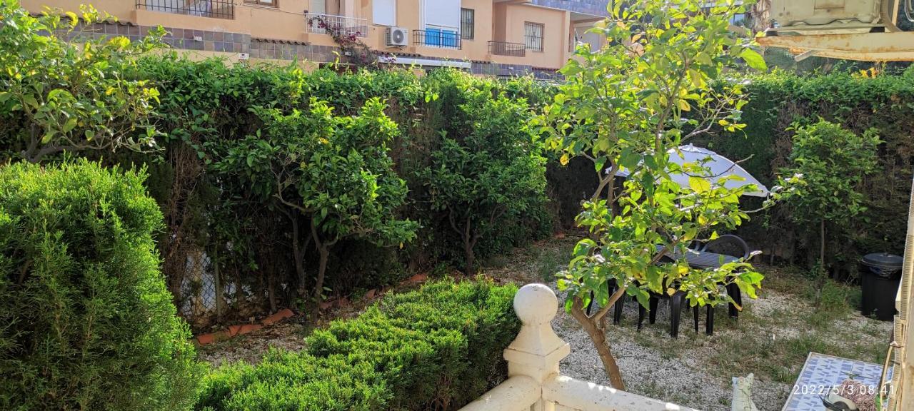 Punta Prima Bungalow Jardin Privado 또레비에하 외부 사진